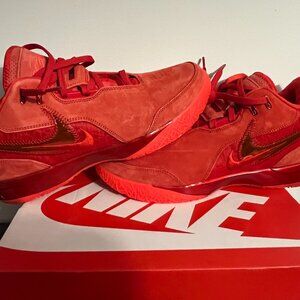 🔥 Nike Zoom LeBron NXTT Gen Ampd “James Gang” | W12.5 / M11 | New! ⚠️📦 🔥